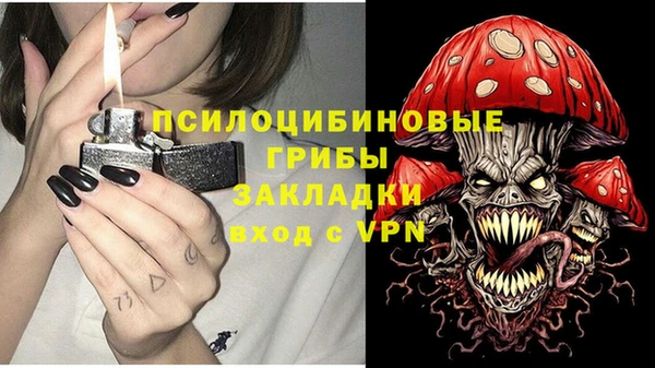 хмурый Богородск