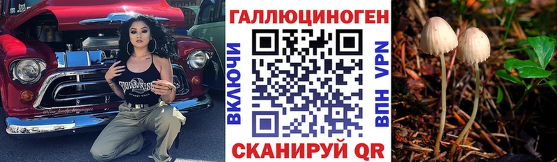 Галлюциногенные грибы Magic Shrooms  Купить где  Новохопёрск 
